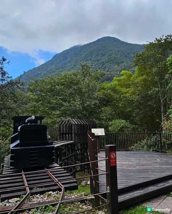 ## 十文溪水潺潺，森林漫步好舒服🌿🚶‍♀️