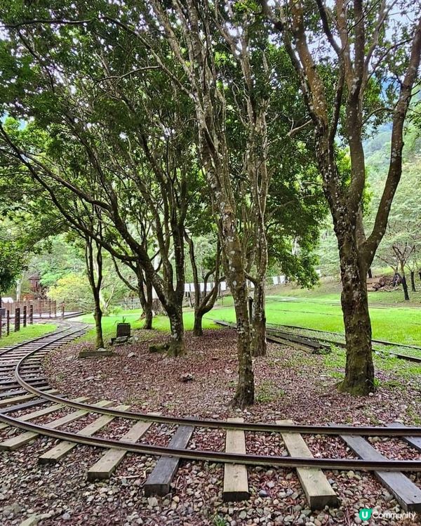 ## 十文溪水潺潺，森林漫步好舒服🌿🚶‍♀️