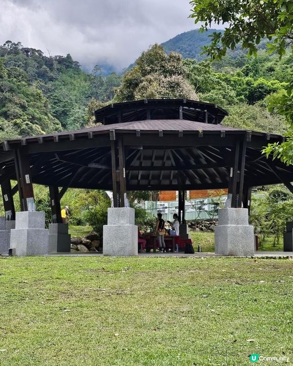 ## 十文溪水潺潺，森林漫步好舒服🌿🚶‍♀️