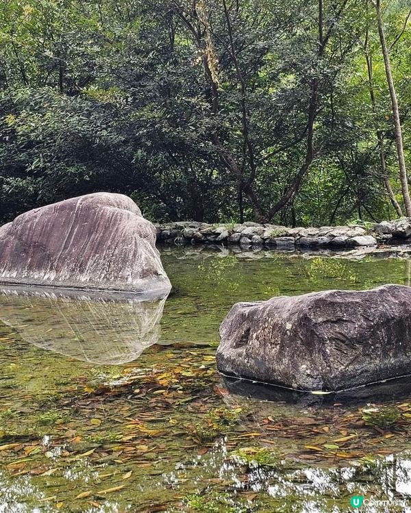 ## 十文溪水潺潺，森林漫步好舒服🌿🚶‍♀️