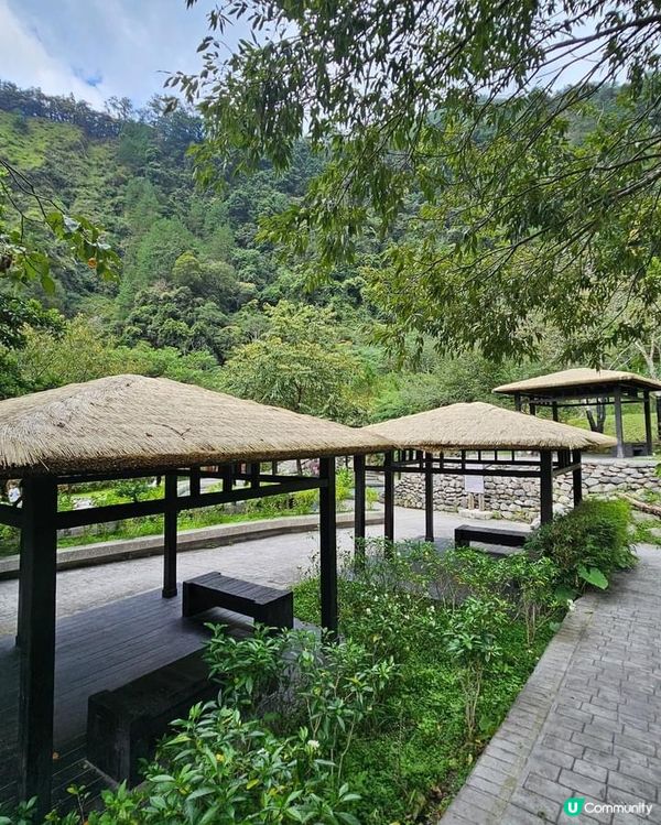 ## 十文溪水潺潺，森林漫步好舒服🌿🚶‍♀️