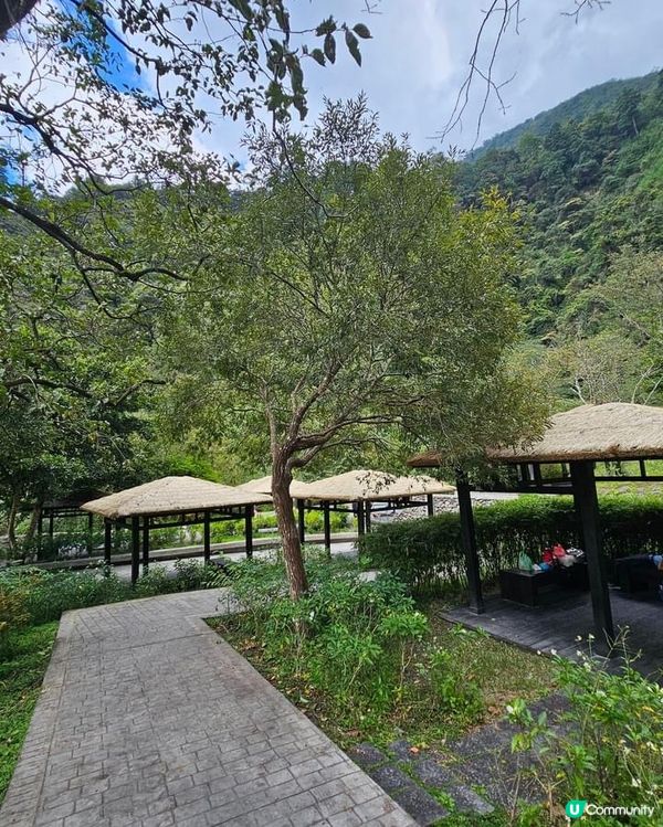 ## 十文溪水潺潺，森林漫步好舒服🌿🚶‍♀️