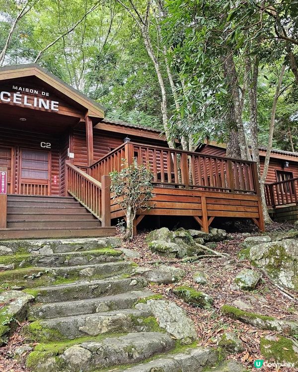 ## 十文溪水潺潺，森林漫步好舒服🌿🚶‍♀️