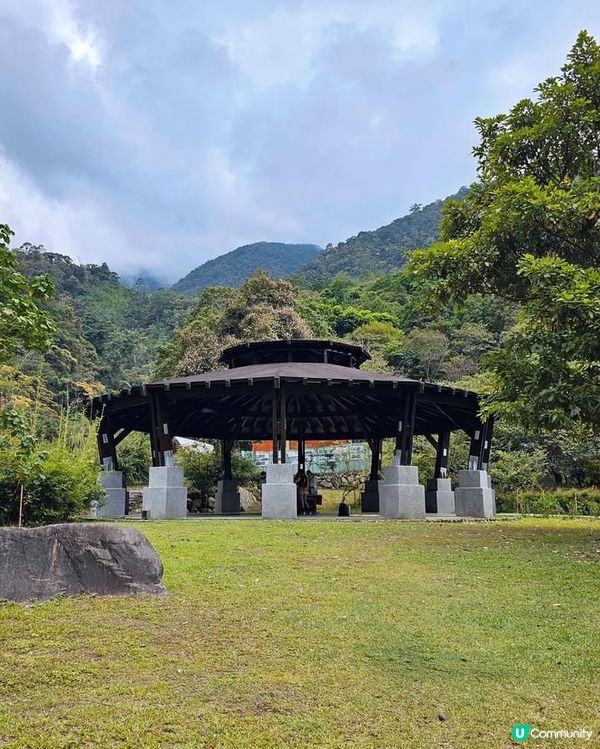## 十文溪水潺潺，森林漫步好舒服🌿🚶‍♀️