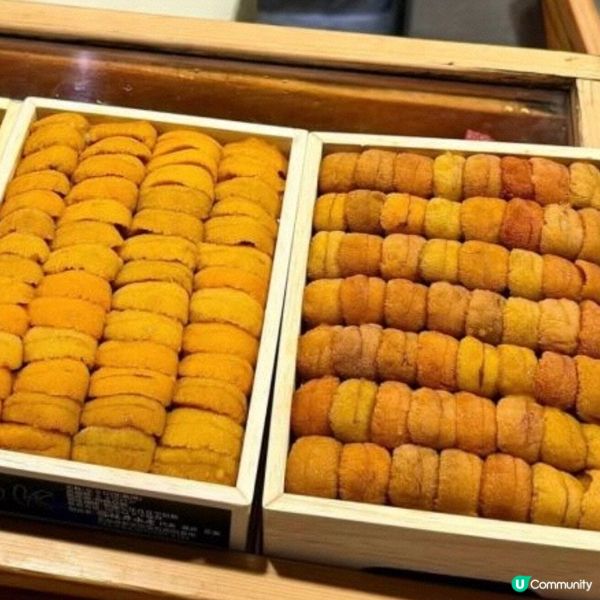 日本🇯🇵魚市場勁多新鮮海膽🤩