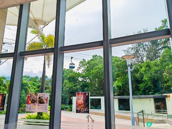 🍽 達東路公園嘅家庭聚餐體驗 | 隱藏喺纜車腳下嘅川菜美味