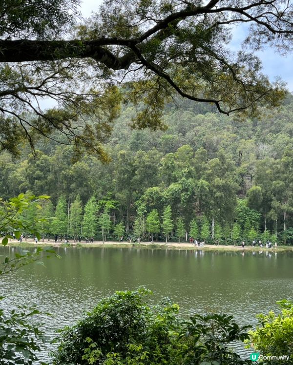 鶴藪水塘至八仙嶺