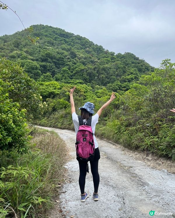 鶴藪水塘至八仙嶺
