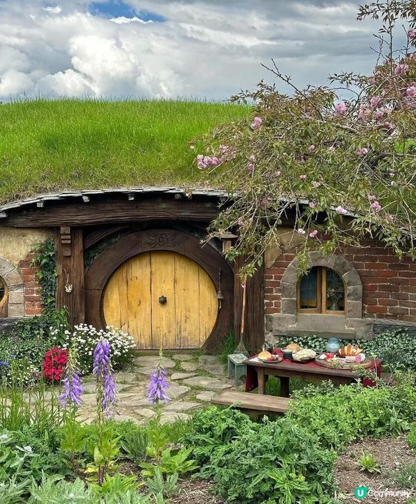 出國旅行，新西蘭🇳🇿，