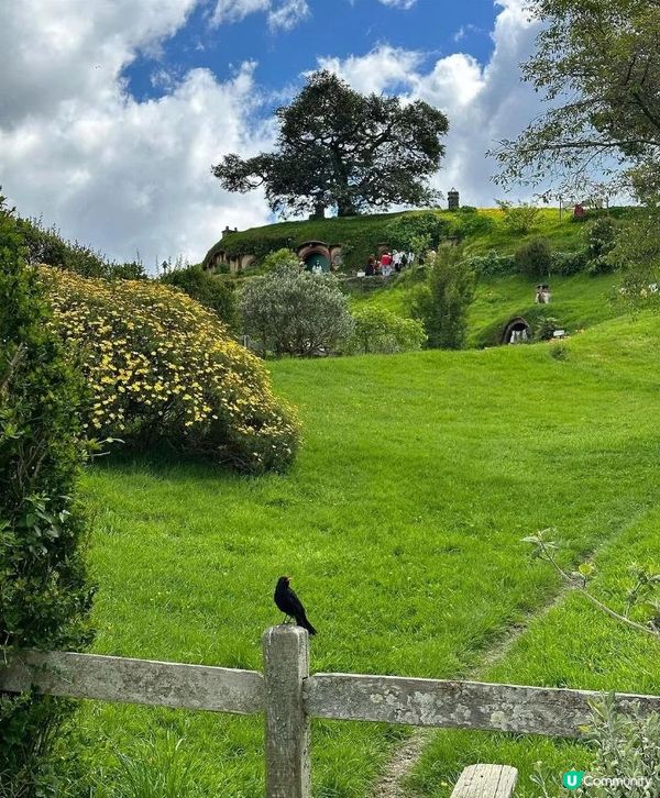 出國旅行，新西蘭🇳🇿，