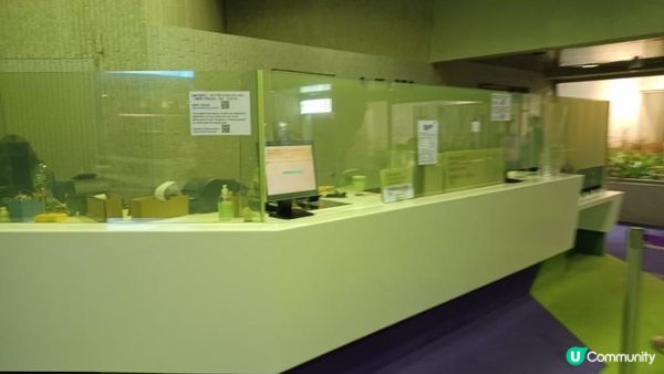 Mamma Mia 之夢想家小店