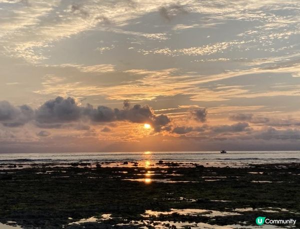 沒有腳的雀仔，最後的淒息地。。