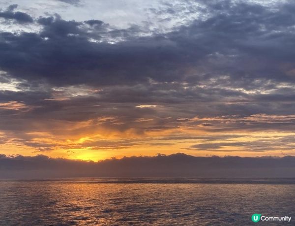 沒有腳的雀仔，最後的淒息地。。