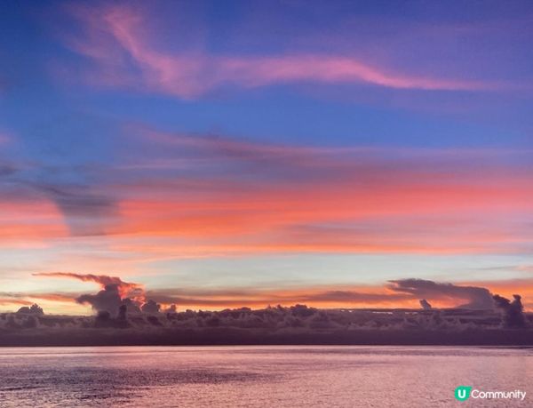 沒有腳的雀仔，最後的淒息地。。