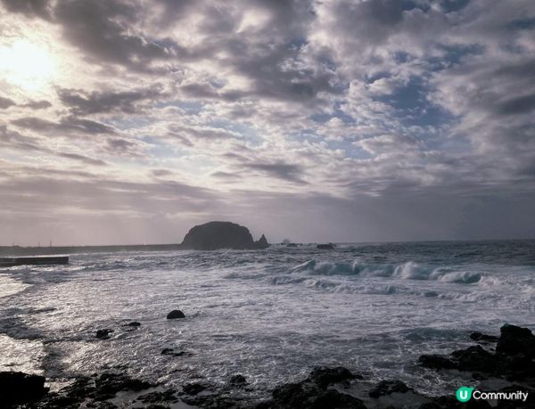 沒有腳的雀仔，最後的淒息地。。