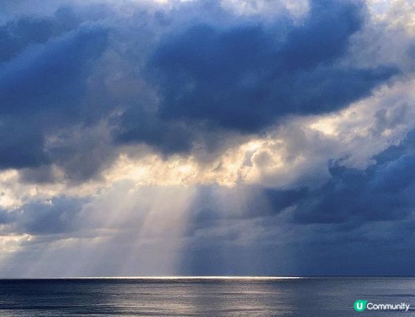 沒有腳的雀仔，最後的淒息地。。