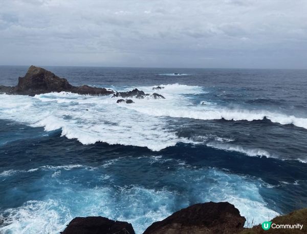 沒有腳的雀仔，最後的淒息地。。