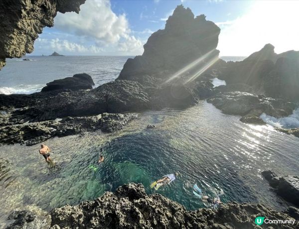 沒有腳的雀仔，最後的淒息地。。