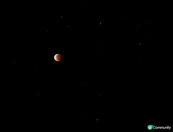 沒有腳的雀仔，最後的淒息地。。