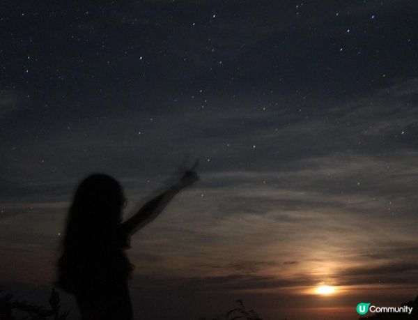 沒有腳的雀仔，最後的淒息地。。