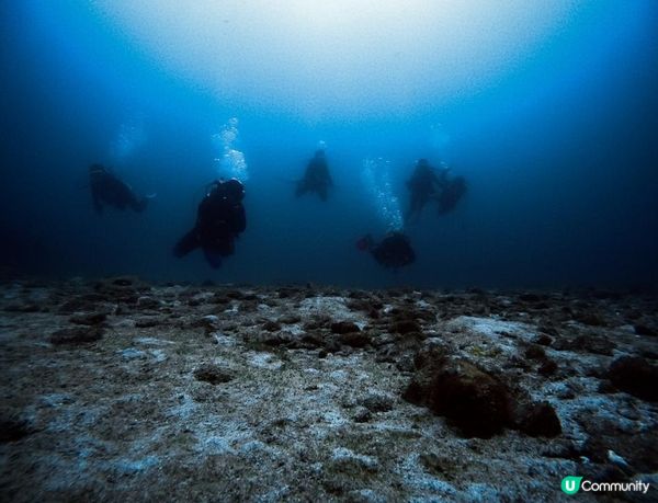 沒有腳的雀仔，最後的淒息地。。