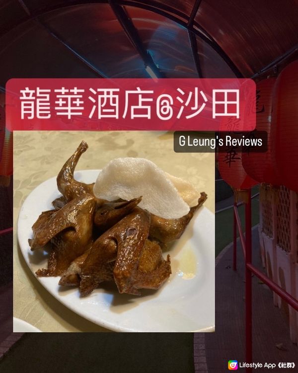 去沙田食乳鴿雞粥的老牌子 龍華懷舊風味菜