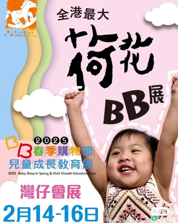 豬包媽荷花bb展推介