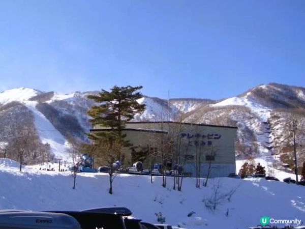 滑雪天堂！白馬五龍任你玩 ⛷️🏂 All levels 