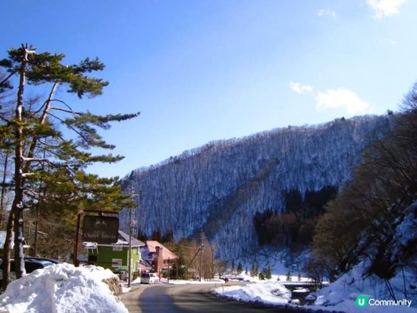 滑雪天堂！白馬五龍任你玩 ⛷️🏂 All levels 