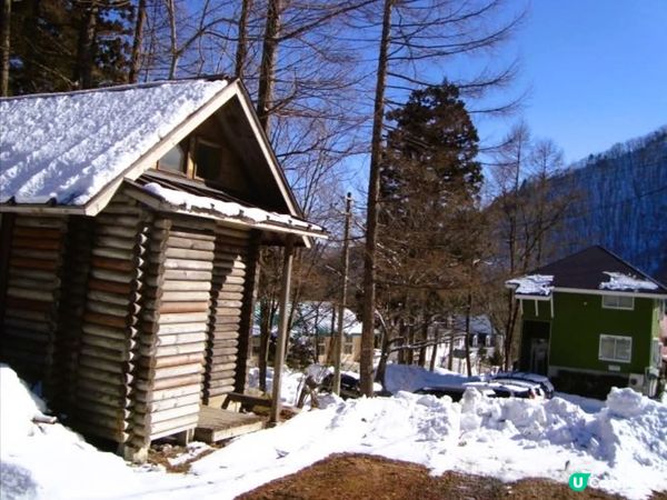 滑雪天堂！白馬五龍任你玩 ⛷️🏂 All levels 