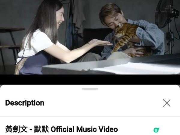 呢隻貓貓交足戲😽