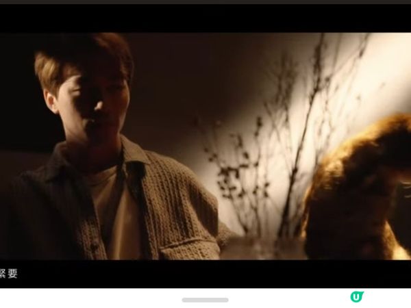 呢隻貓貓交足戲😽