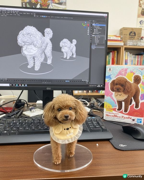 叮叮 figure誕生啦🥰🥰