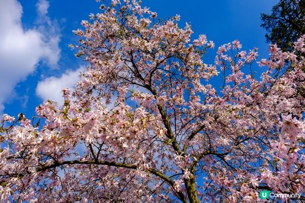 #Chill嘆酒店旅人祭  #別要再蝨眠