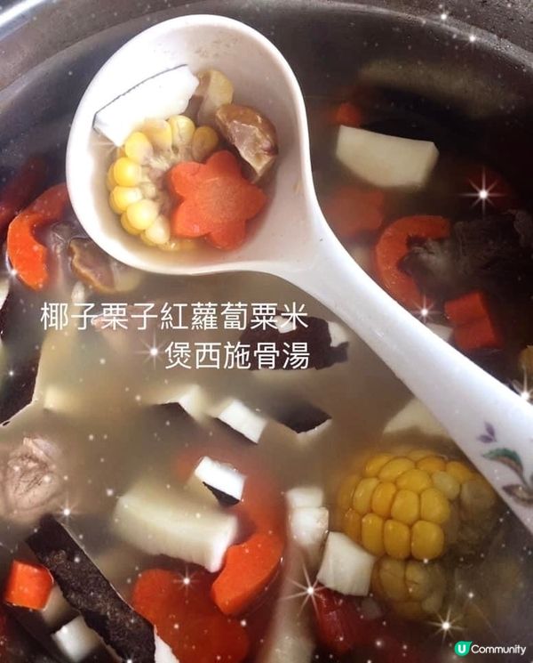 椰子栗子紅蘿蔔粟米煲西施骨湯