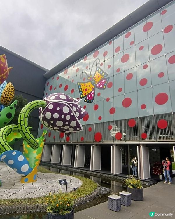 ## 松本美術館：草間彌生展覽，打卡必去！🎨🖼️