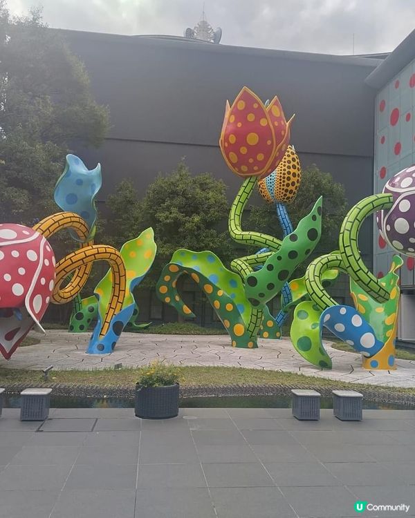 ## 松本美術館：草間彌生展覽，打卡必去！🎨🖼️