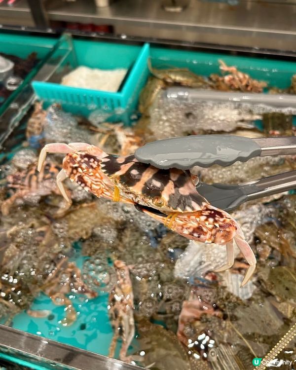撈海鮮火鍋登陸旺角！🦀🦐🐟