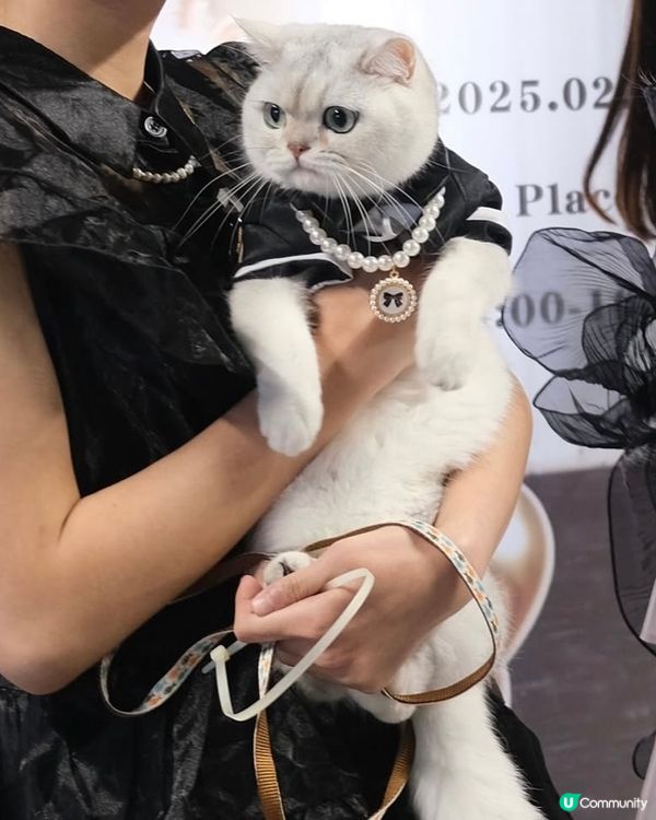 《潮寵黑白大戰總決賽》最合拍表現獎🏅