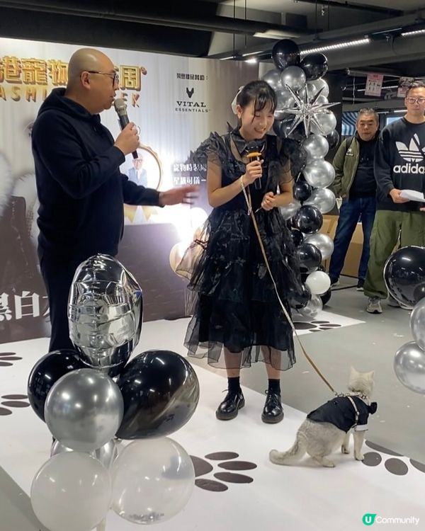 《潮寵黑白大戰總決賽》最合拍表現獎🏅