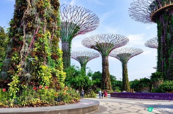 #淨白透亮520 #韓式髮型神器