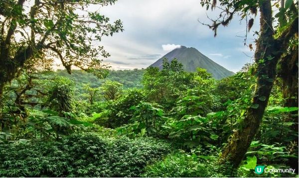 盤點全球3個避寒勝地：漫步雪梨金色沙灘、必訪春天夜間嘉年華