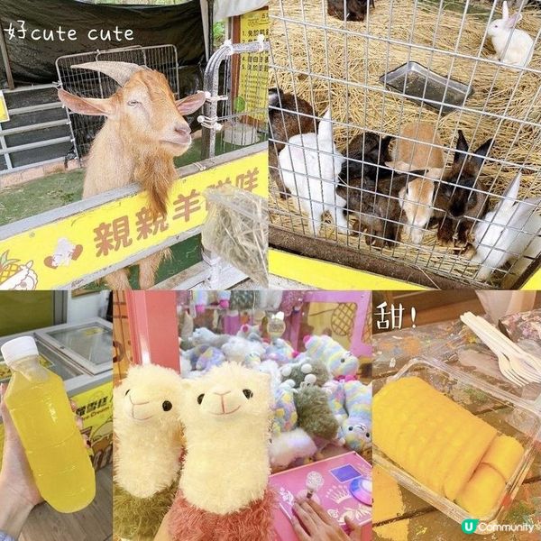 《廢物女孩👭玩の覺醒》