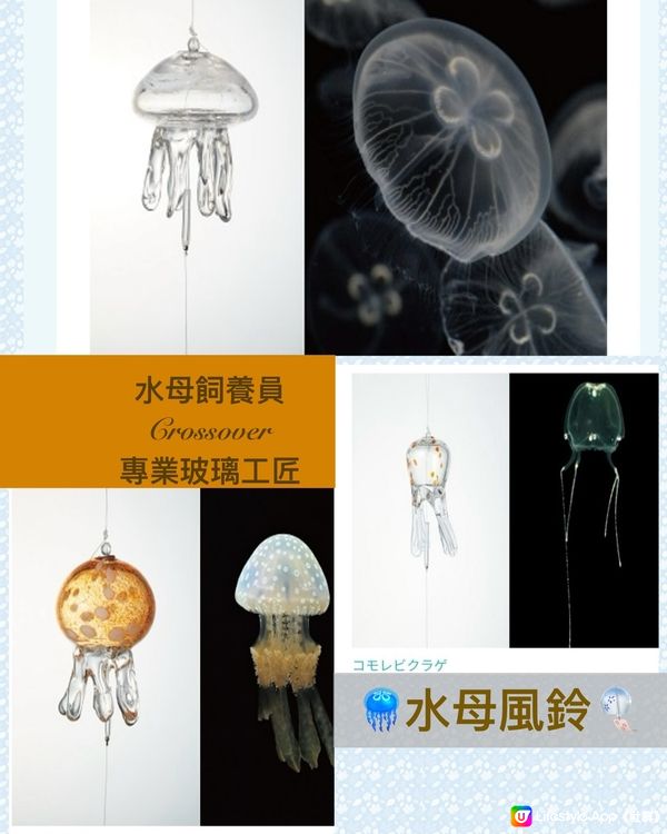 把水族館的水母變成風鈴💫京都水母風鈴展🎐～30/9