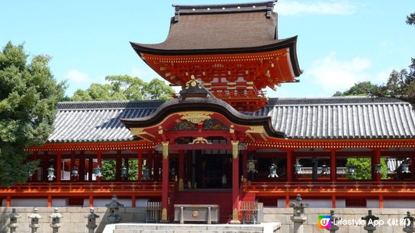 【日本。京都】京都府冬天觀光情報 編輯推薦景點、體驗及活動