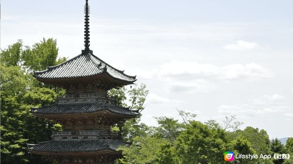 【日本。京都】京都府冬天觀光情報 編輯推薦景點、體驗及活動