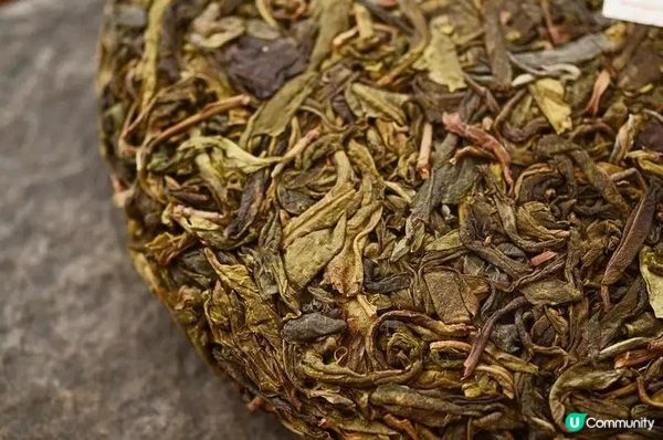 什麼是普洱茶的黃片