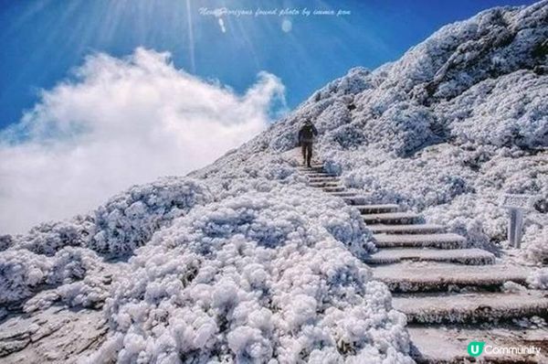 台灣冬季這樣好好玩！全台賞雪、泡湯、日出必看美景一次收口袋！