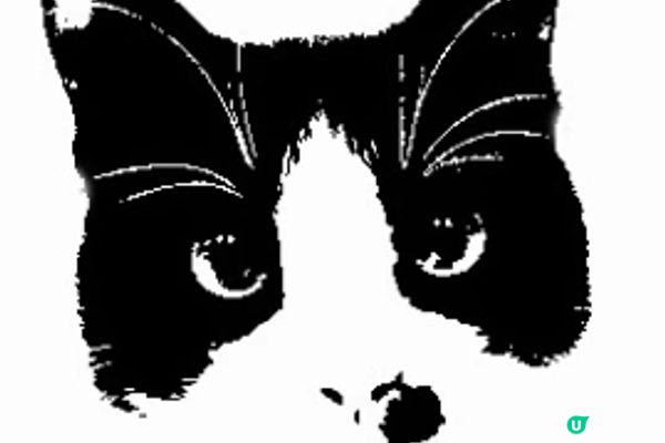 【灣仔素食】一顆粉紅少女心 IGable的料理 | JAJA