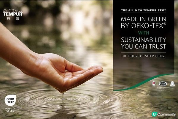 全台丹普專賣店新銳亮相，帶來北歐雪原的「極」靜體驗